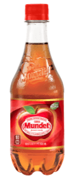 Sidral Mundet - Apple Soda 16.9oz